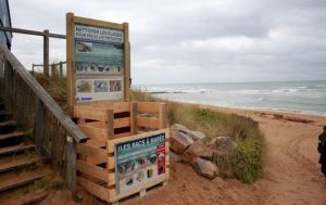Des bacs à marée installés par l’association Nature Libre sur la côte d’Opale (photo T. Hemberger)